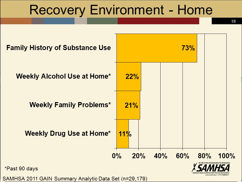 18 Recovery Environment - Home SAMHSA 2011 GAIN Summary Analytic Data Set (n=29,179) *Past 90 days