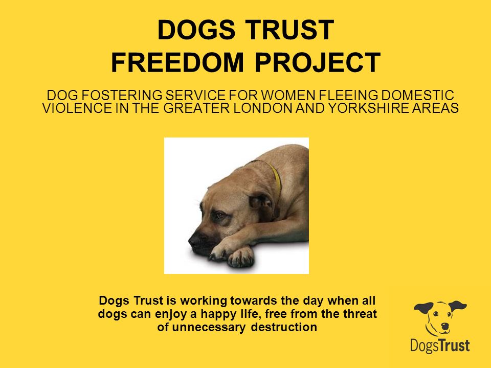 freedom project dogs trust