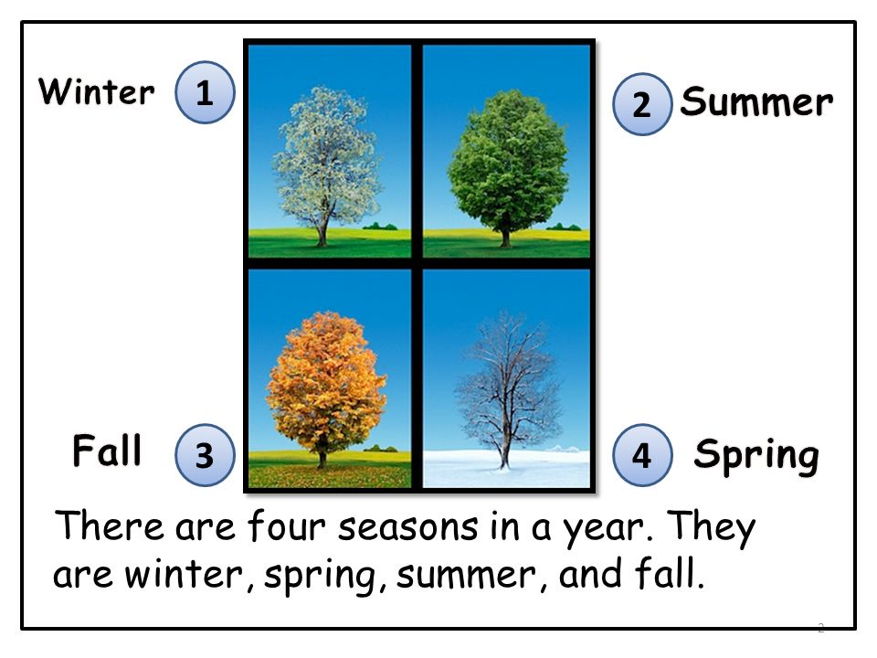 There are four of us. There are four Seasons. There are four Seasons in a year Spring Summer autumn and Winter.