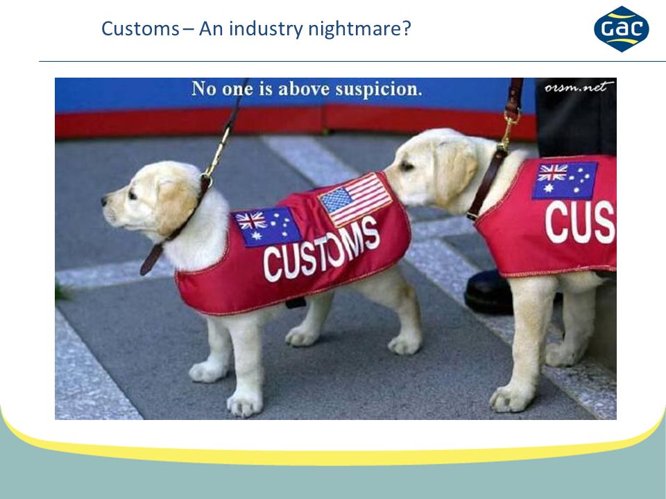 Customs – An industry nightmare