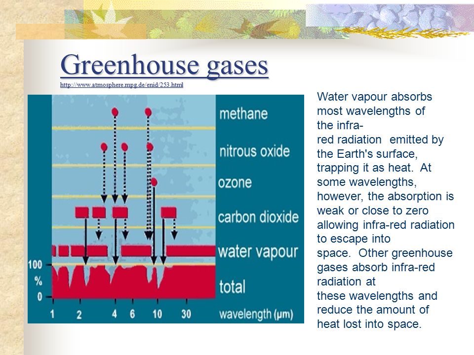 Greenhouse gases   Water vapour absorbs most wavelengths of the infra- red radiation emitted by the Earth s surface, trapping it as heat.