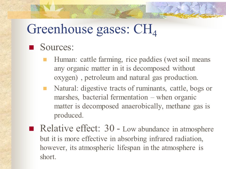 Greenhouse gases: CH 4 Sources: Human: cattle farming, rice paddies (wet soil means any organic matter in it is decomposed without oxygen), petroleum and natural gas production.