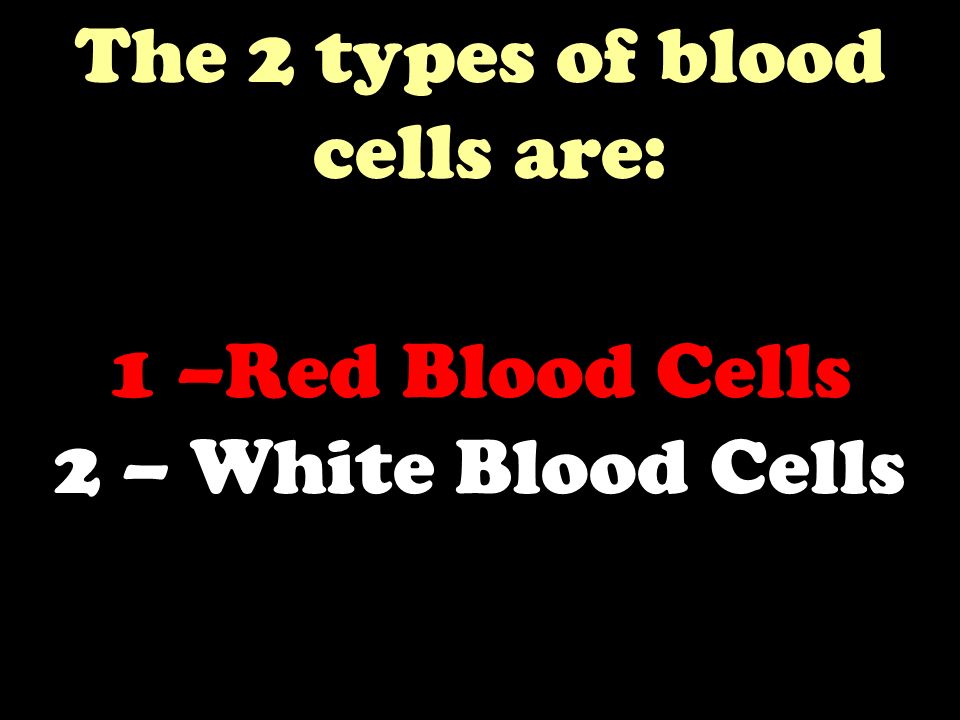 1 –Red Blood Cells 2 – White Blood Cells The 2 types of blood cells are:
