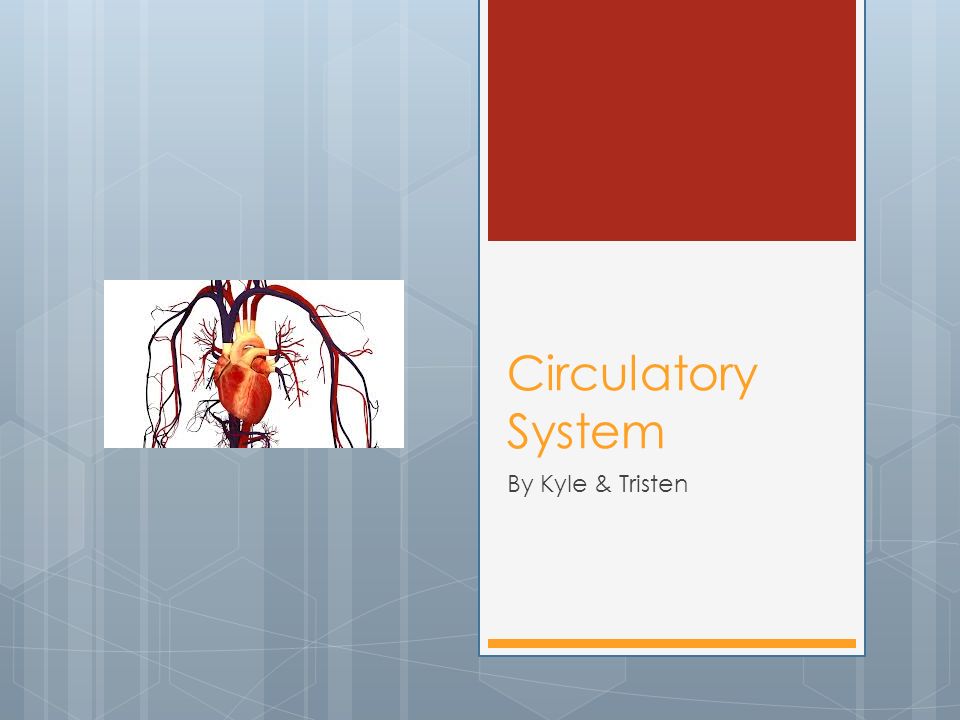 Circulatory System By Kyle & Tristen