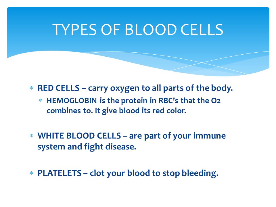  The liquid portion of the blood in which all other cells, nutrients, and hormones are suspended.