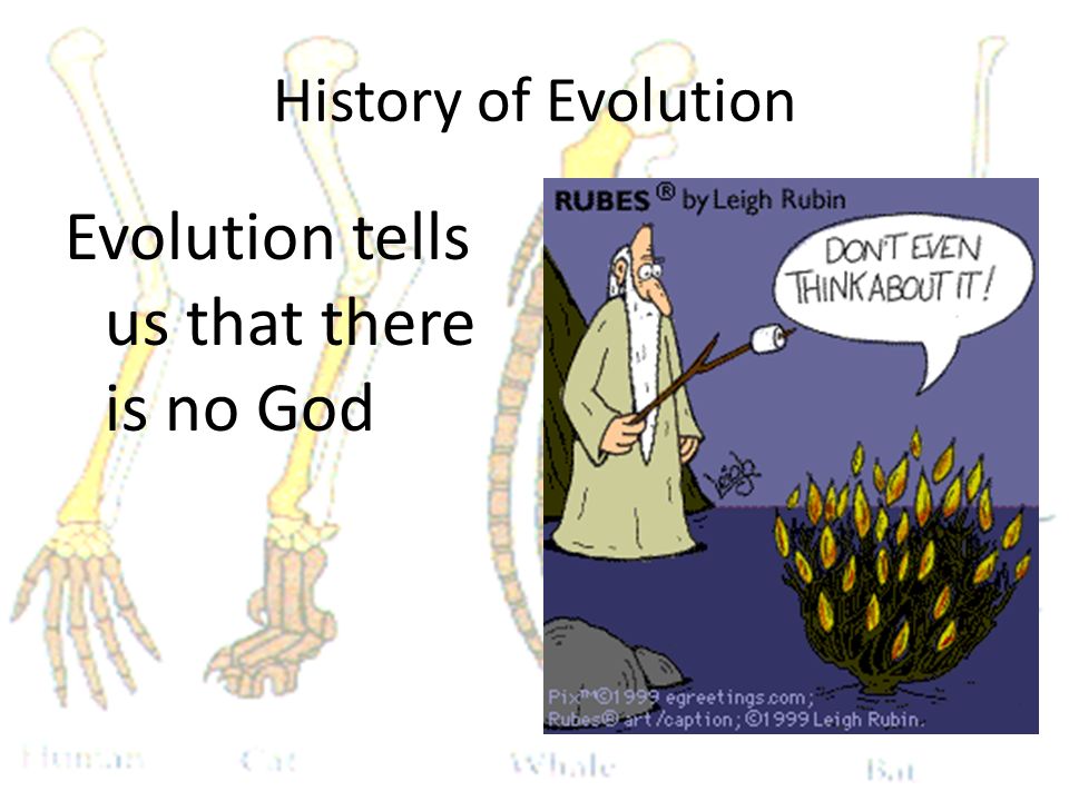 History of Evolution Evolution tells us that there is no God