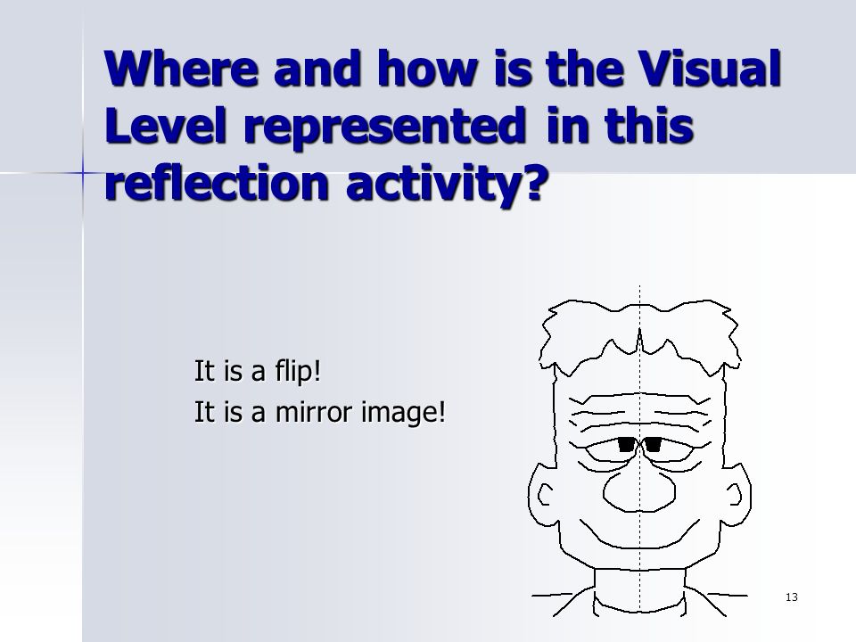 13 Where and how is the Visual Level represented in this reflection activity.