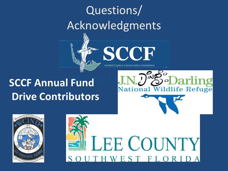 Questions/ Acknowledgments SCCF Annual Fund Drive Contributors
