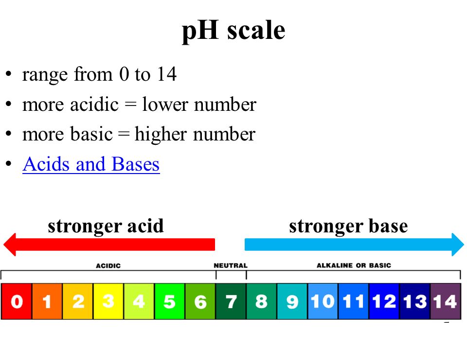 pH scale range from 0 to 14 more acidic = lower number more basic = higher number Acids and Bases stronger acidstronger base