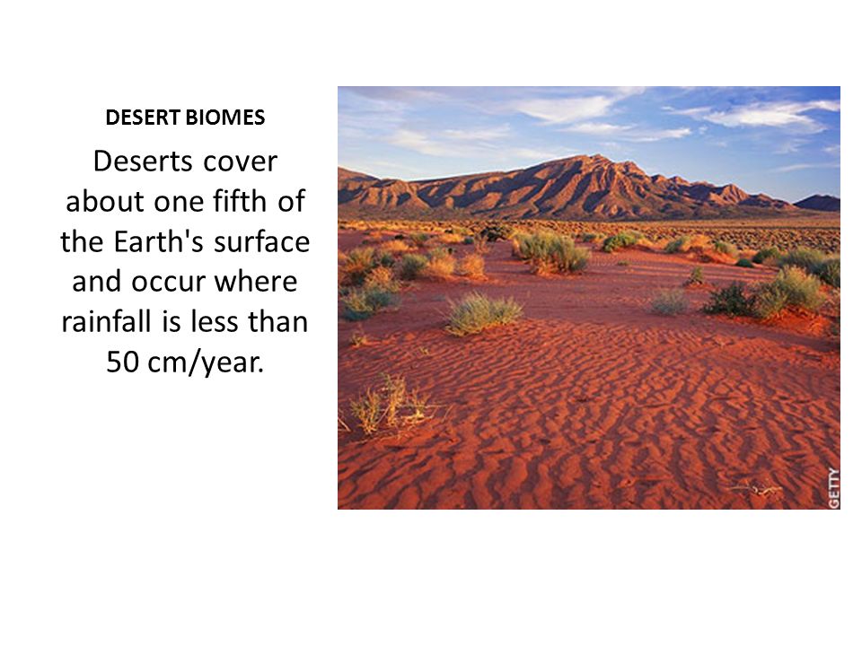 DESERT BIOMES Deserts cover about one fifth of the Earth s surface and occur where rainfall is less than 50 cm/year.