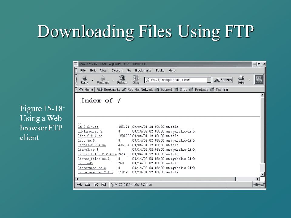 Downloading Files Using FTP Figure 15-18: Using a Web browser FTP client