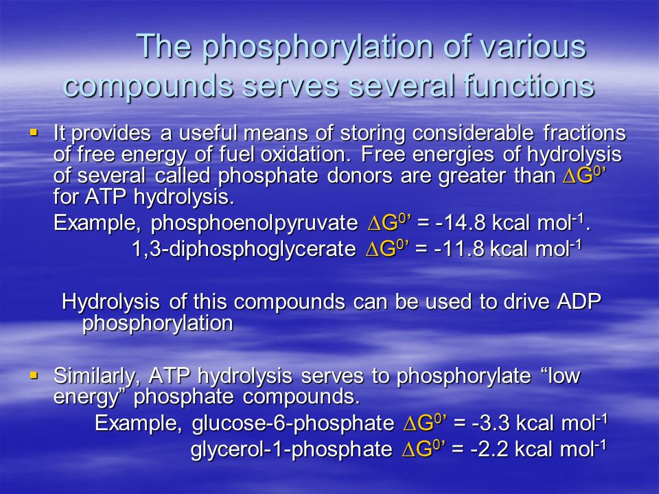 The phosphorylation of various compounds serves several functions  It provides a useful means of storing considerable fractions of free energy of fuel oxidation.