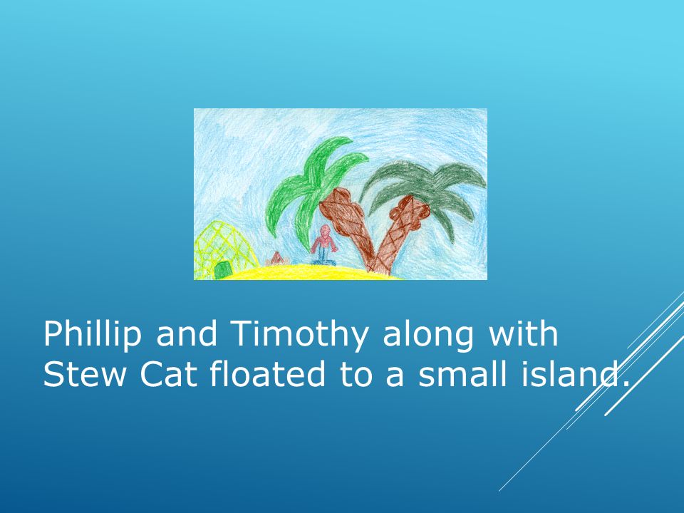 Phillip and Timothy along with Stew Cat floated to a small island.