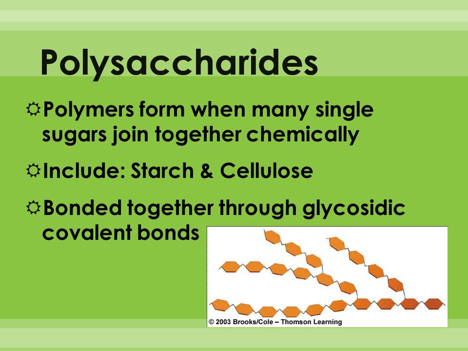 The Energy You Use Comes From The Carbohydrates In Food Your Body Changes Carbohydrates Into Glucose A Form You Can Use For Immediate Energy Your Ppt Download The Energy You Use Comes From The Carbohydrates In Food Your Body Changes Carbohydrates Into Glucose A Form You Can Use For Immediate Energy Your Ppt Download