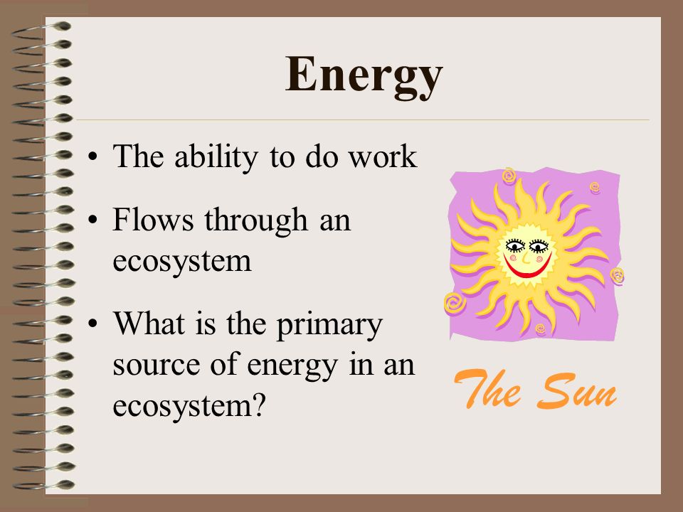 Energy The ability to do work Flows through an ecosystem What is the primary source of energy in an ecosystem.