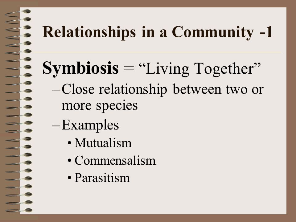 Relationships in a Community -1 Symbiosis = Living Together –Close relationship between two or more species –Examples Mutualism Commensalism Parasitism