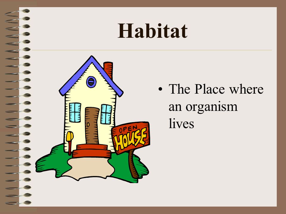 Habitat The Place where an organism lives