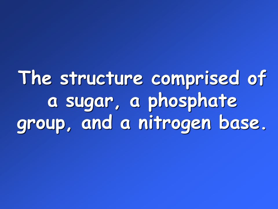 The structure comprised of a sugar, a phosphate group, and a nitrogen base.