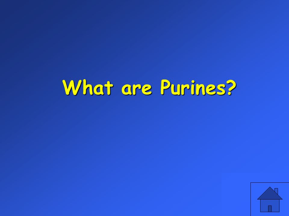 What are Purines