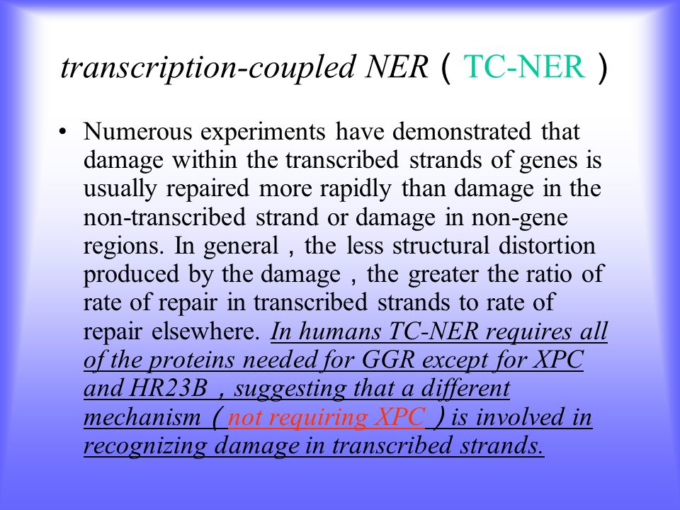 transcription-coupled NER （ TC-NER ） Numerous experiments have demonstrated that damage within the transcribed strands of genes is usually repaired more rapidly than damage in the non-transcribed strand or damage in non-gene regions.