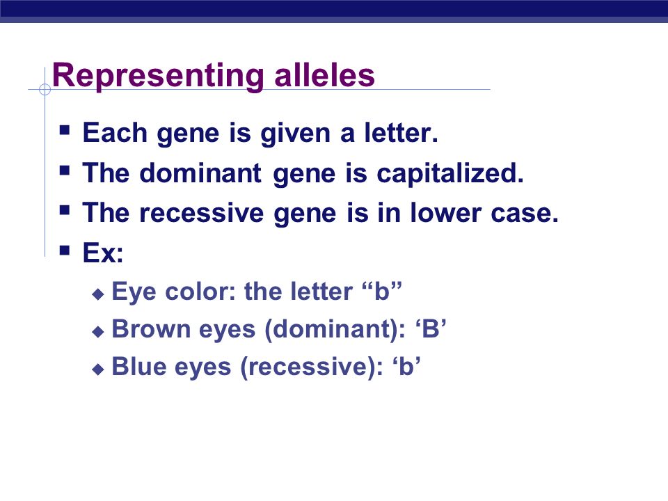 Representing alleles  Each gene is given a letter.