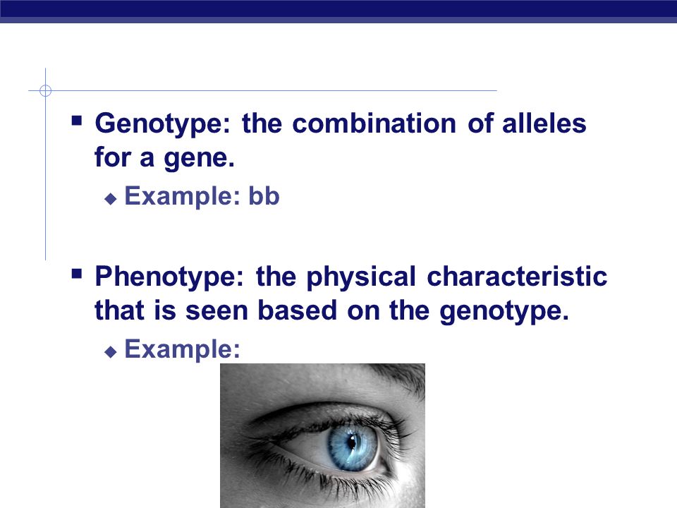  Genotype: the combination of alleles for a gene.