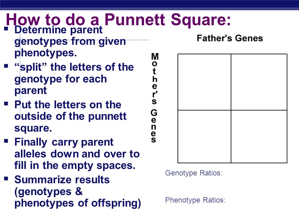 How to do a Punnett Square:  Determine parent genotypes from given phenotypes.