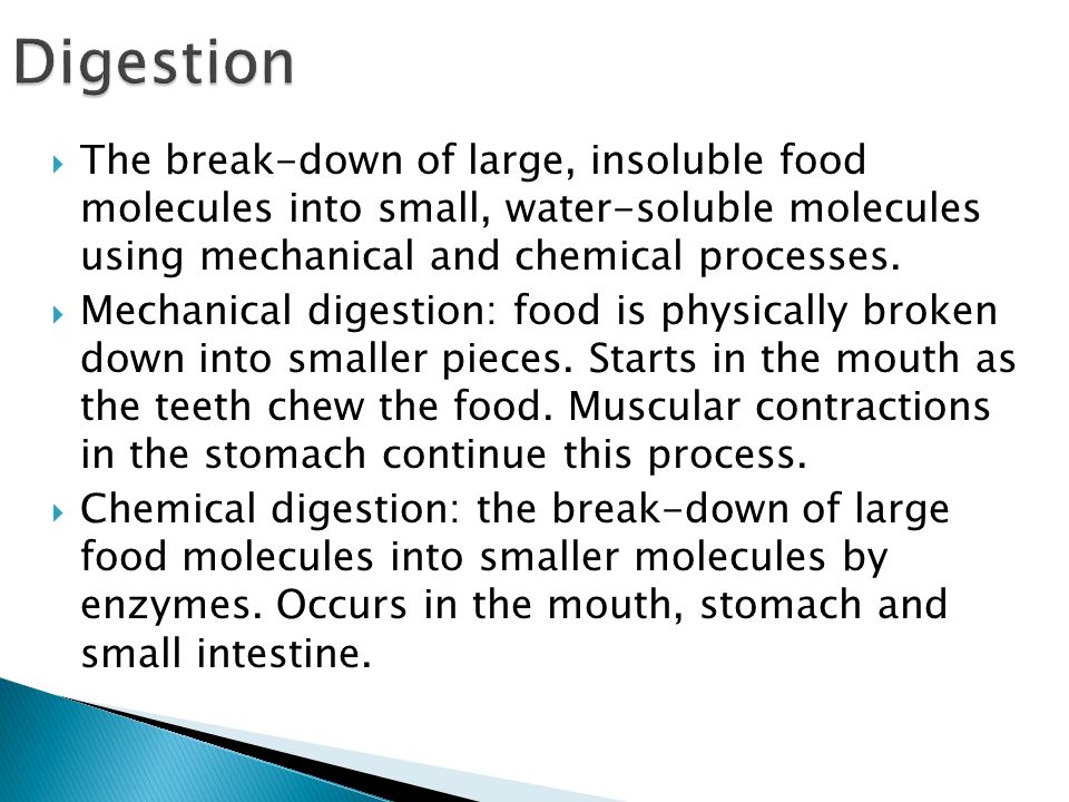 The Break Down Of Large Insoluble Food Molecules Into Small Water Soluble Molecules Using Mechanical And Chemical Processes Mechanical Digestion Ppt Download