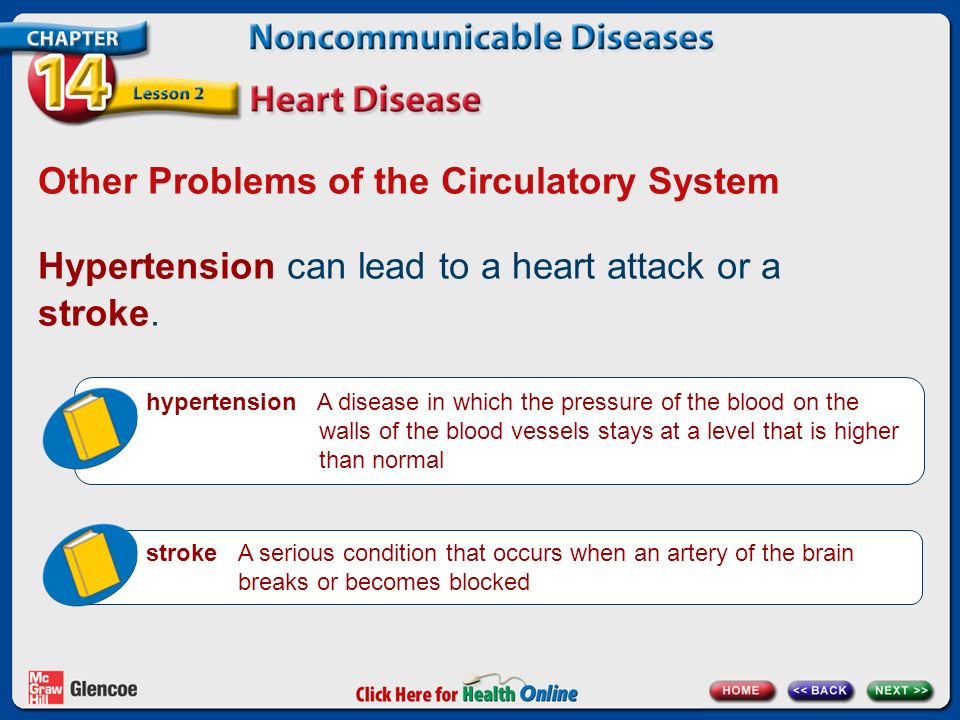 Other Problems of the Circulatory System Hypertension can lead to a heart attack or a stroke.