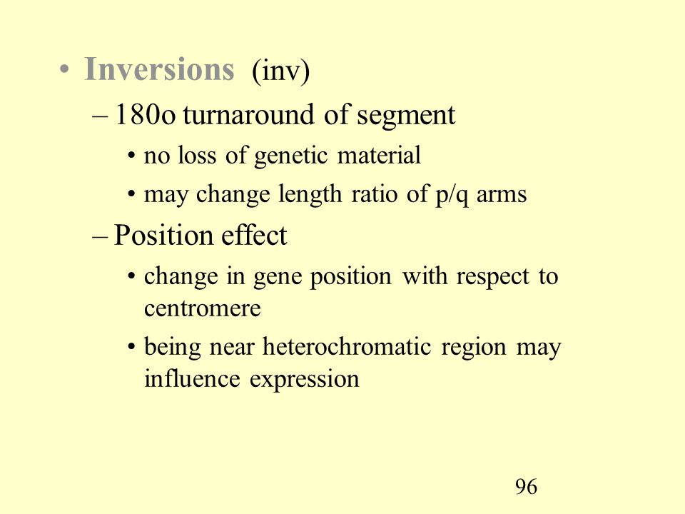 96 Inversions (inv) –180o turnaround of segment no loss of genetic material may change length ratio of p/q arms –Position effect change in gene position with respect to centromere being near heterochromatic region may influence expression