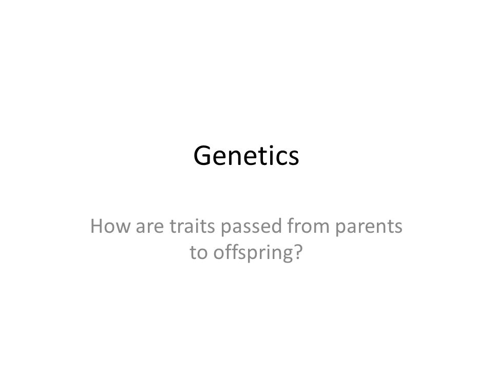 Genetics How are traits passed from parents to offspring
