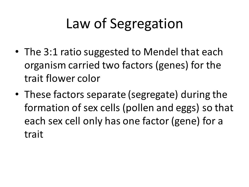 Law of Segregation The 3:1 ratio suggested to Mendel that each organism carried two factors (genes) for the trait flower color These factors separate (segregate) during the formation of sex cells (pollen and eggs) so that each sex cell only has one factor (gene) for a trait