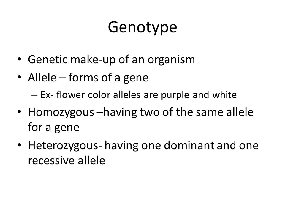 Genotype Genetic make-up of an organism Allele – forms of a gene – Ex- flower color alleles are purple and white Homozygous –having two of the same allele for a gene Heterozygous- having one dominant and one recessive allele
