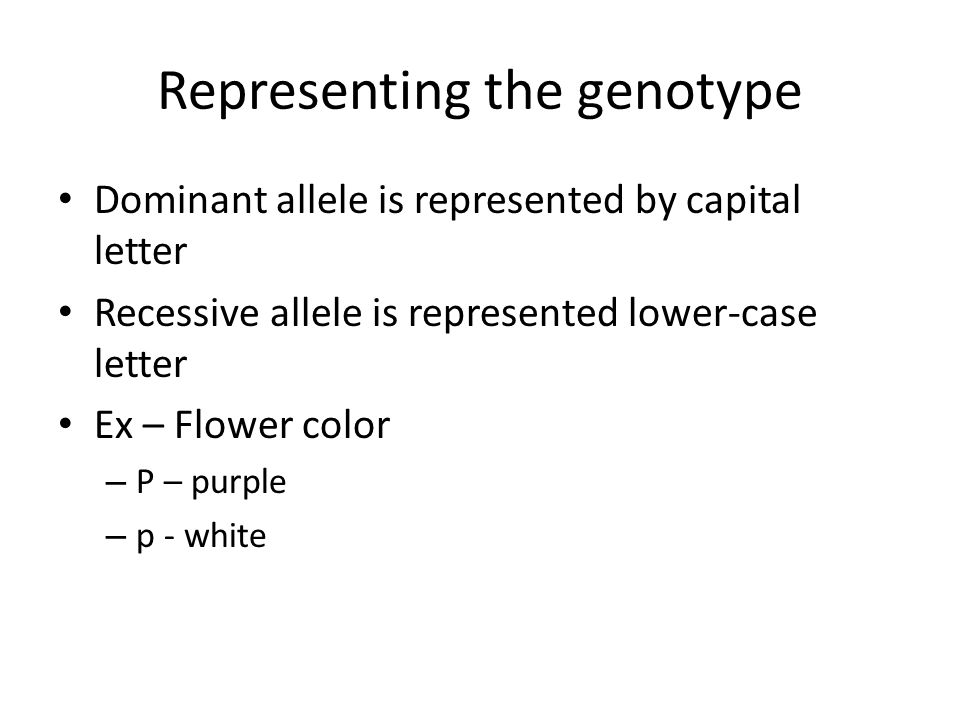 Representing the genotype Dominant allele is represented by capital letter Recessive allele is represented lower-case letter Ex – Flower color – P – purple – p - white