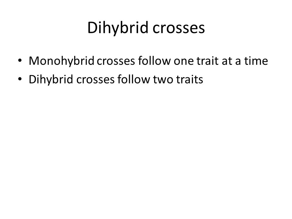 Dihybrid crosses Monohybrid crosses follow one trait at a time Dihybrid crosses follow two traits