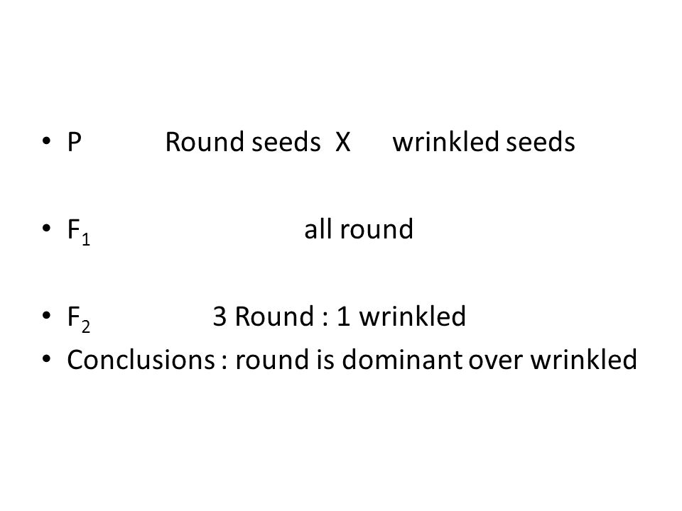 P Round seeds X wrinkled seeds F 1 all round F 2 3 Round : 1 wrinkled Conclusions : round is dominant over wrinkled