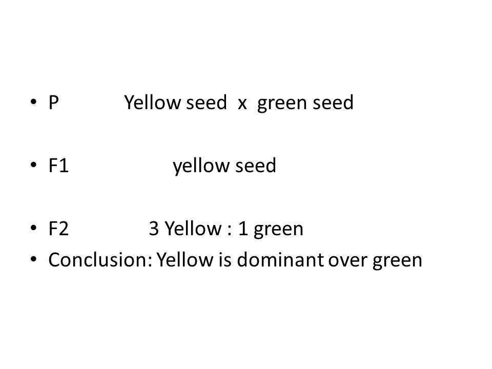 P Yellow seed x green seed F1 yellow seed F2 3 Yellow : 1 green Conclusion: Yellow is dominant over green