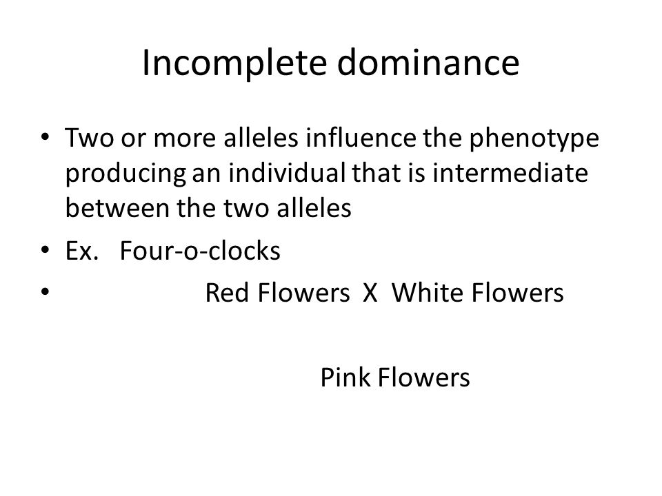 Incomplete dominance Two or more alleles influence the phenotype producing an individual that is intermediate between the two alleles Ex.