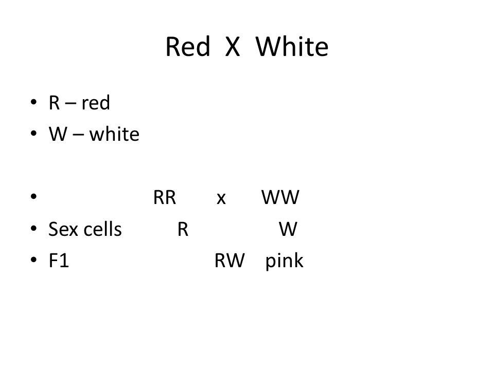 Red X White R – red W – white RR x WW Sex cells R W F1 RW pink