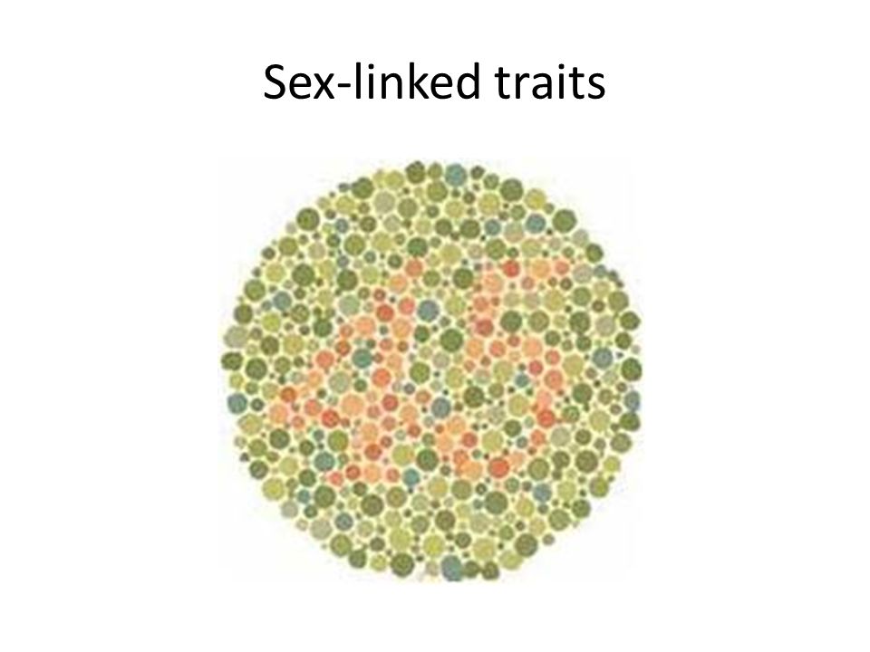 Sex-linked traits