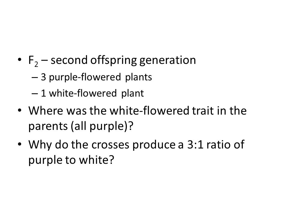 F 2 – second offspring generation – 3 purple-flowered plants – 1 white-flowered plant Where was the white-flowered trait in the parents (all purple).