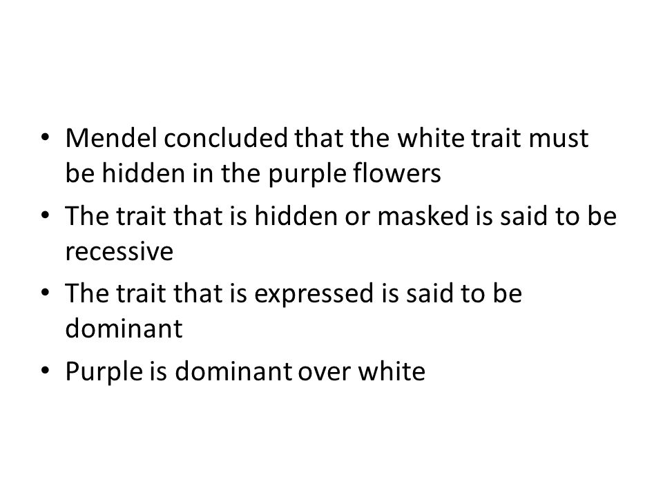 Mendel concluded that the white trait must be hidden in the purple flowers The trait that is hidden or masked is said to be recessive The trait that is expressed is said to be dominant Purple is dominant over white