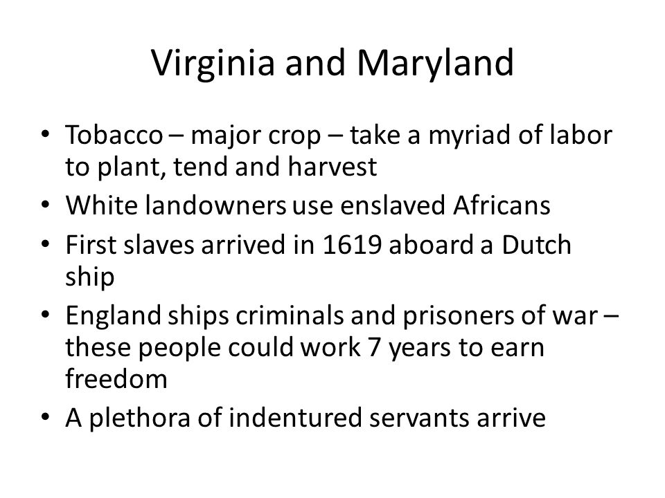 Virginia and Maryland Tobacco – major crop – take a myriad of labor to plant, tend and harvest White landowners use enslaved Africans First slaves arrived in 1619 aboard a Dutch ship England ships criminals and prisoners of war – these people could work 7 years to earn freedom A plethora of indentured servants arrive