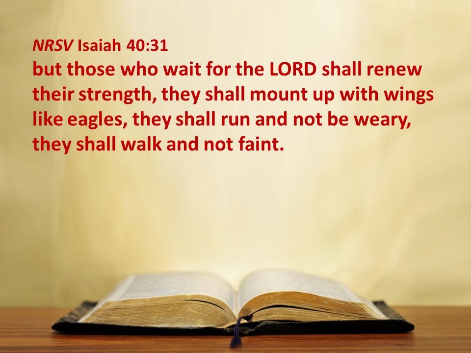 NRSV Isaiah 40:31 but those who wait for the LORD shall renew their strength, they shall mount up with wings like eagles, they shall run and not be weary, they shall walk and not faint.