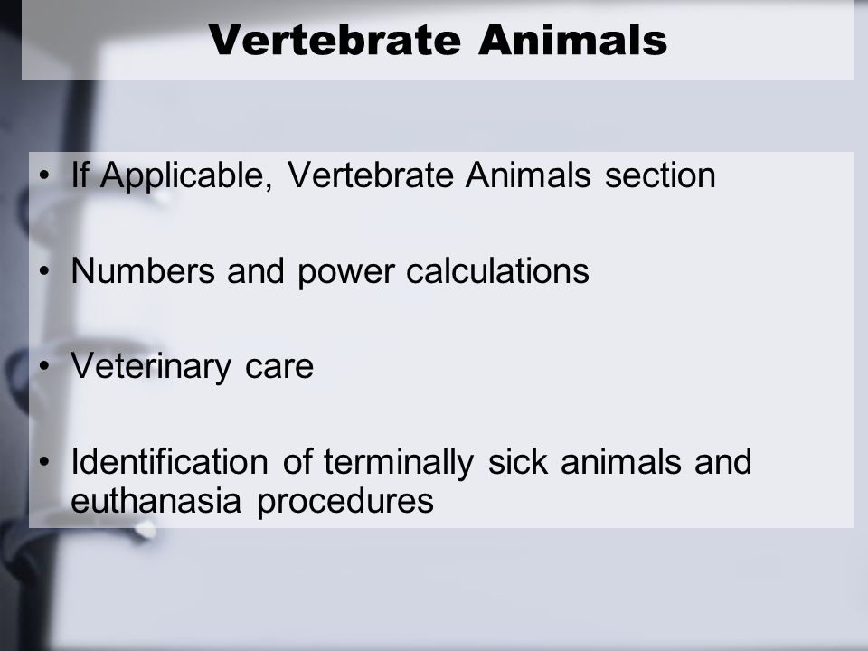 If Applicable, Vertebrate Animals section Numbers and power calculations Veterinary care Identification of terminally sick animals and euthanasia procedures Vertebrate Animals
