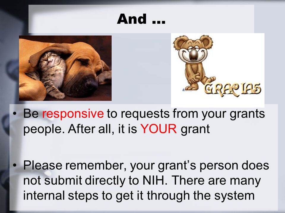Be responsive to requests from your grants people.