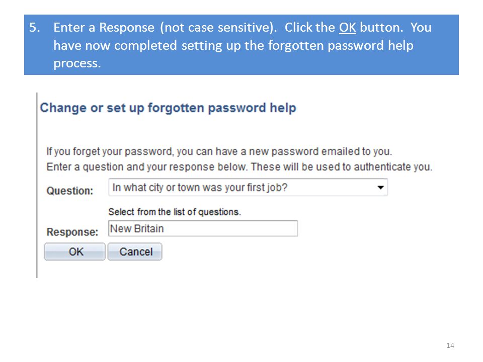 5.Enter a Response (not case sensitive). Click the OK button.