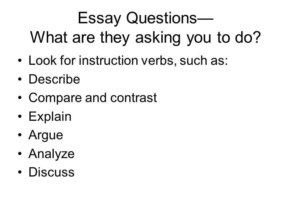 Essay Questions— What are they asking you to do.