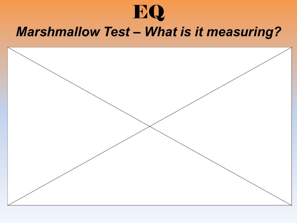 EQ Marshmallow Test – What is it measuring