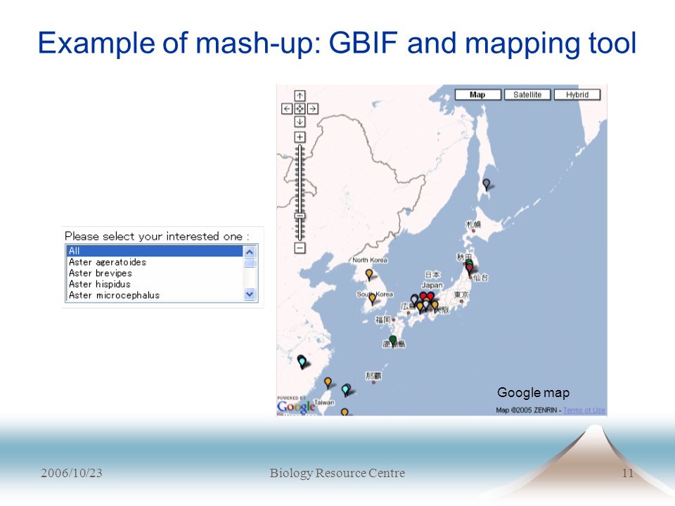 2006/10/23Biology Resource Centre11 Example of mash-up: GBIF and mapping tool Google map